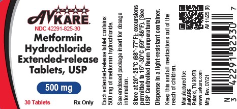 Metformin ER Image