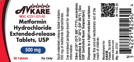 Metformin ER Image