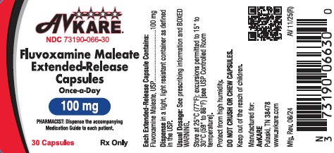 Fluvoxamine Maleate ER Image